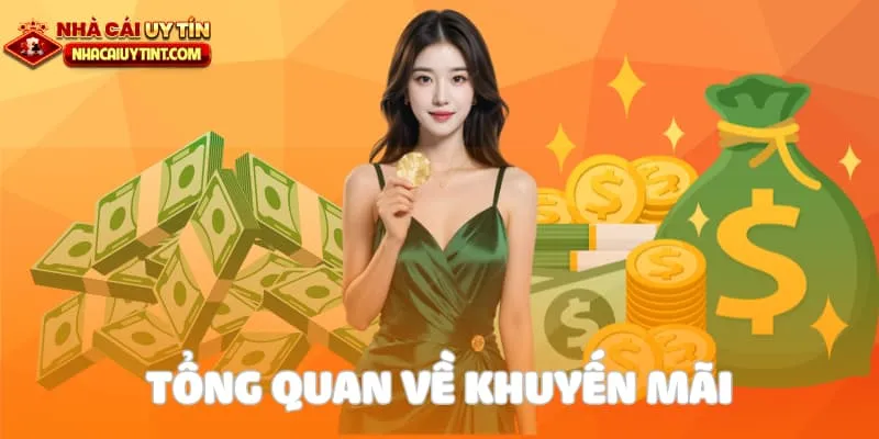 Tổng quan về chương trình